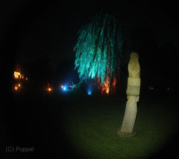 T-20151004-200114_IMG_7151-5a a.jpg